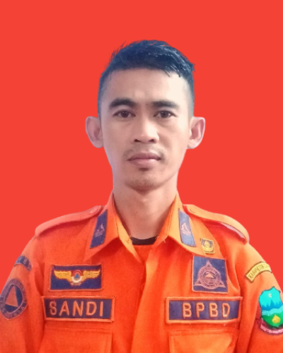 SANDI